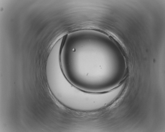 X0000064731289200602171632