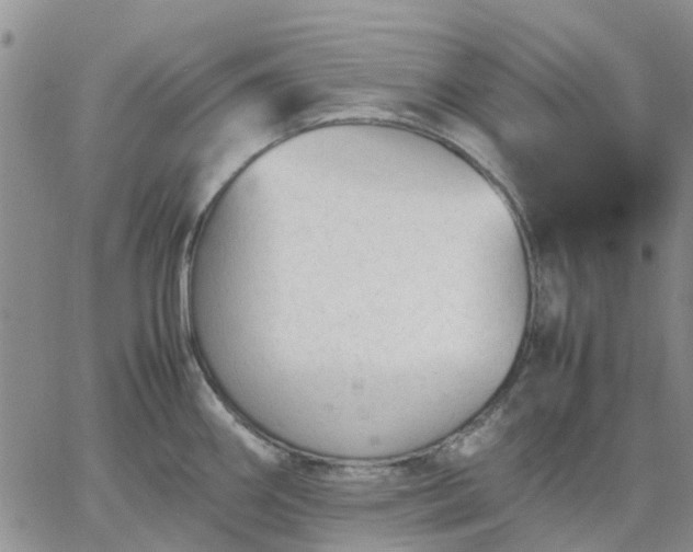 X0000064731290200602171632