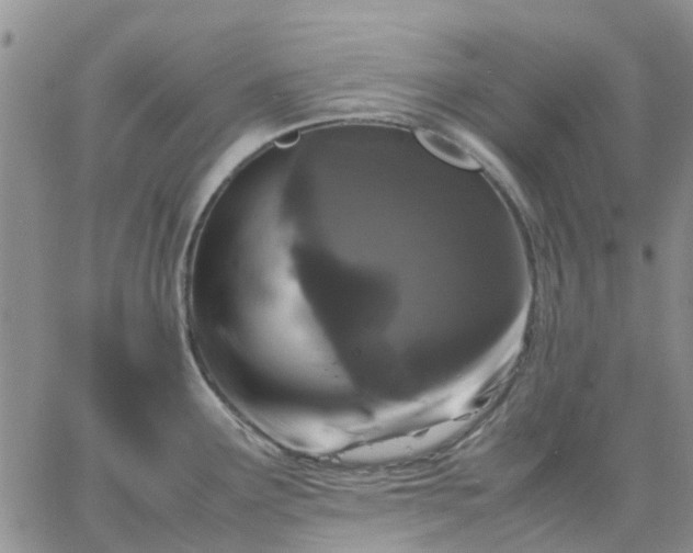 X0000064731291200602171632