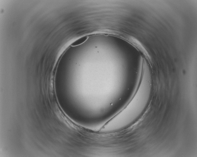 X0000064731292200602171632