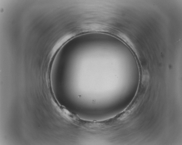 X0000064731293200602171632