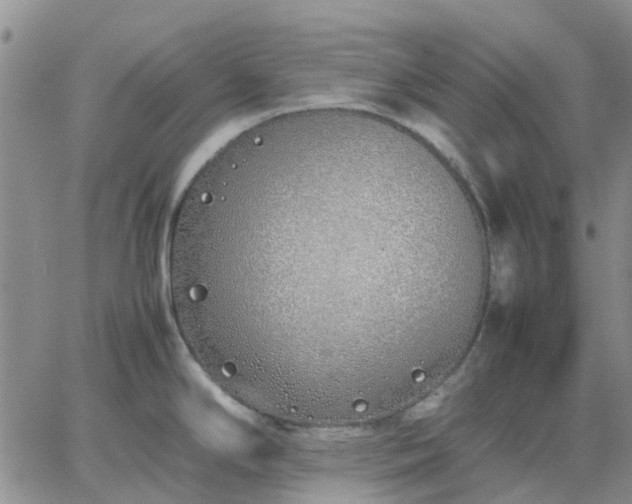 X0000064731294200602171632