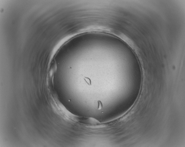 X0000064731296200602171632