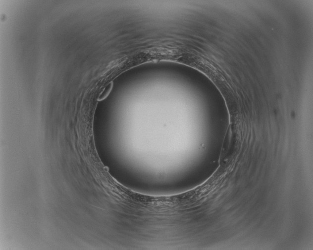 X0000064731297200602171631