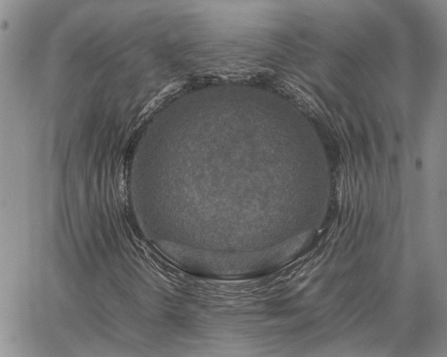 X0000064731298200602171631