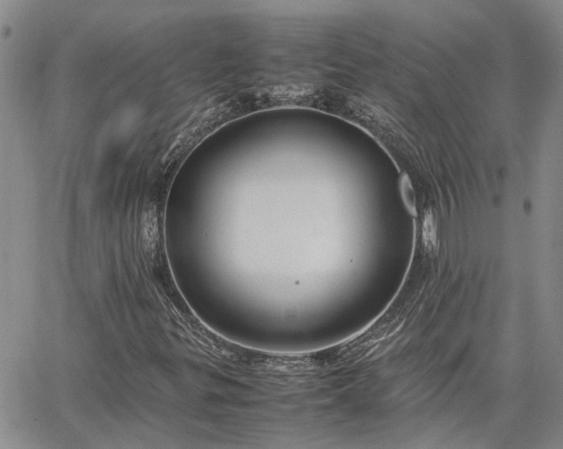 X0000064731299200602171631