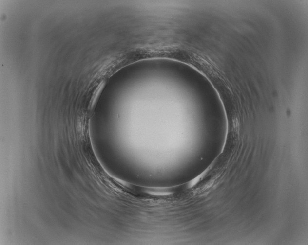 X0000064731300200602171631