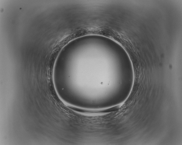 X0000064731301200602171631