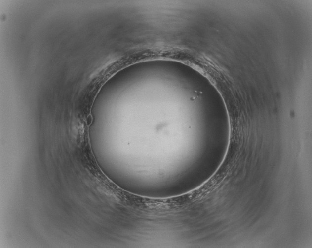 X0000064731302200602171631