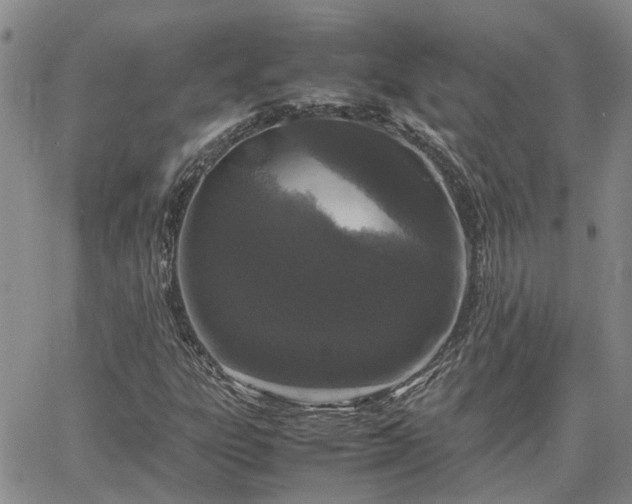 X0000064731303200602171631