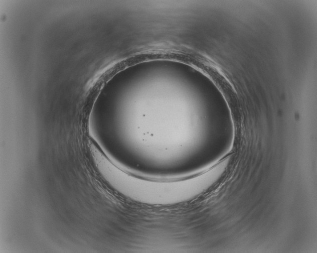 X0000064731304200602171631