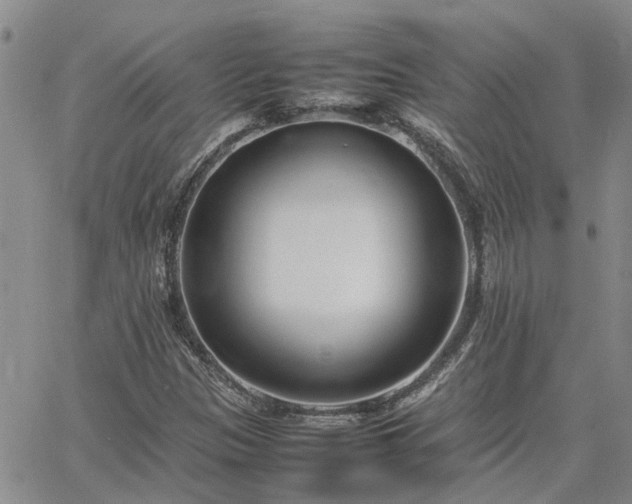 X0000064731305200602171631