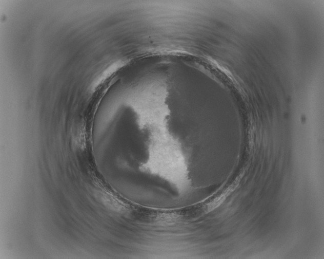 X0000064731306200602171631