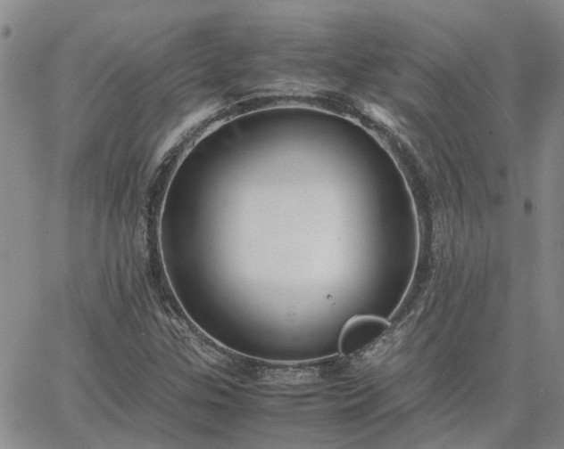 X0000064731307200602171631