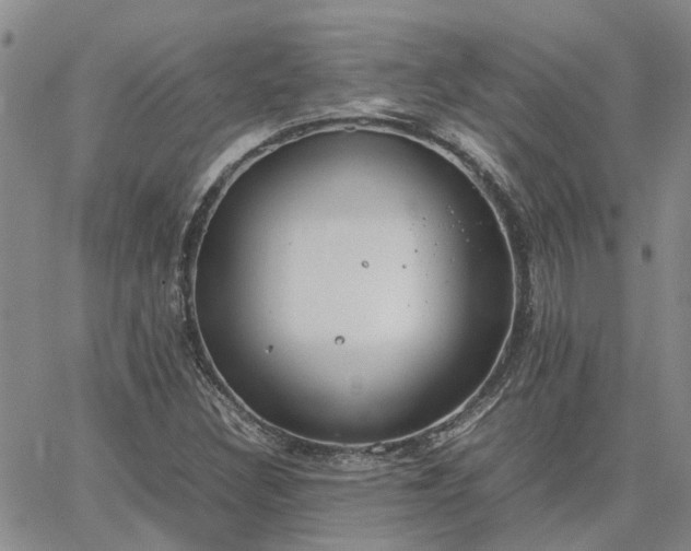 X0000064731308200602171631