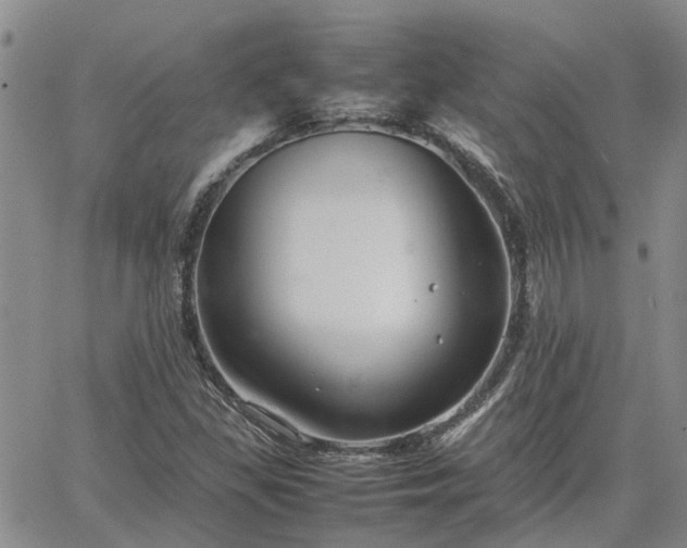 X0000064731309200602171631