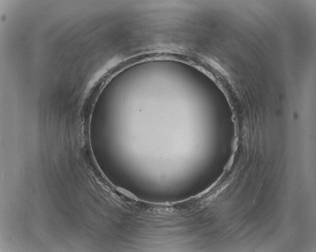 X0000064731310200602171631