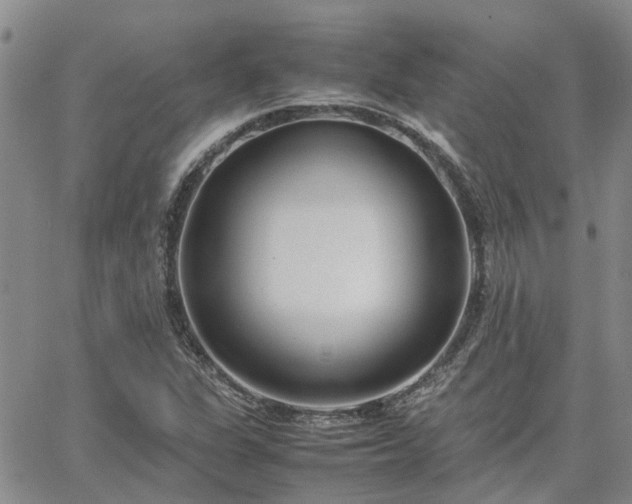 X0000064731311200602171631