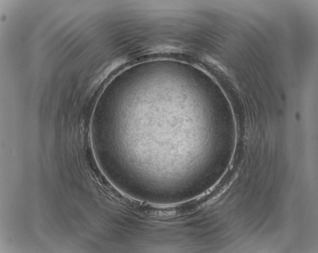 X0000064731313200602171631