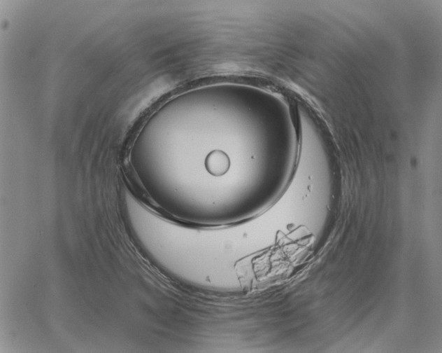 X0000064731314200602171631