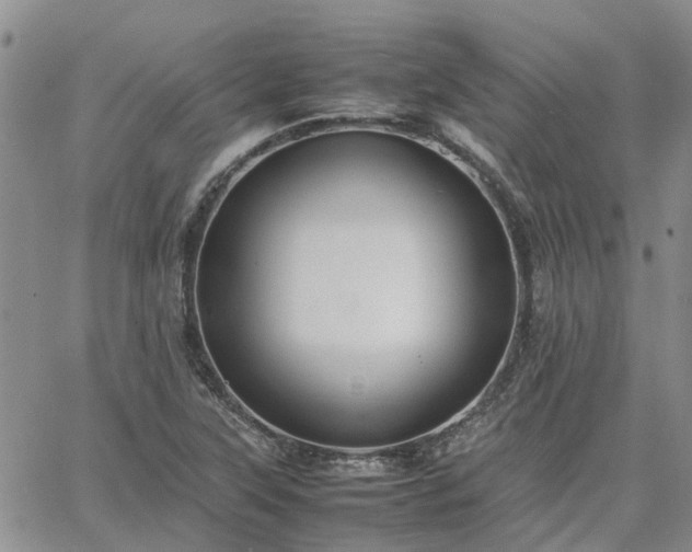 X0000064731315200602171631