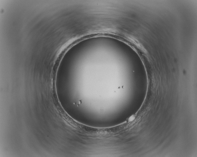 X0000064731316200602171631