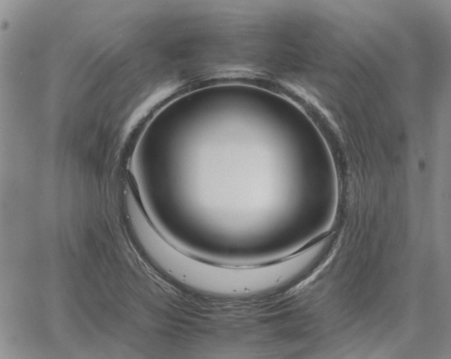 X0000064731317200602171631