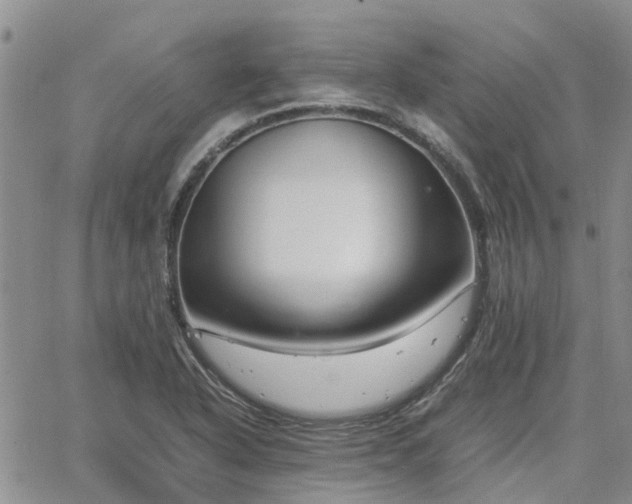 X0000064731318200602171631