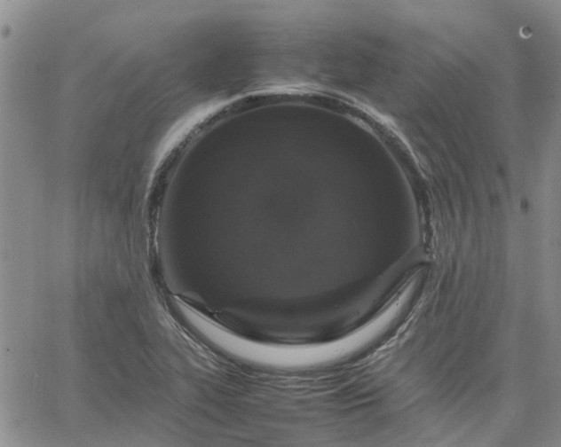 X0000064731319200602171632