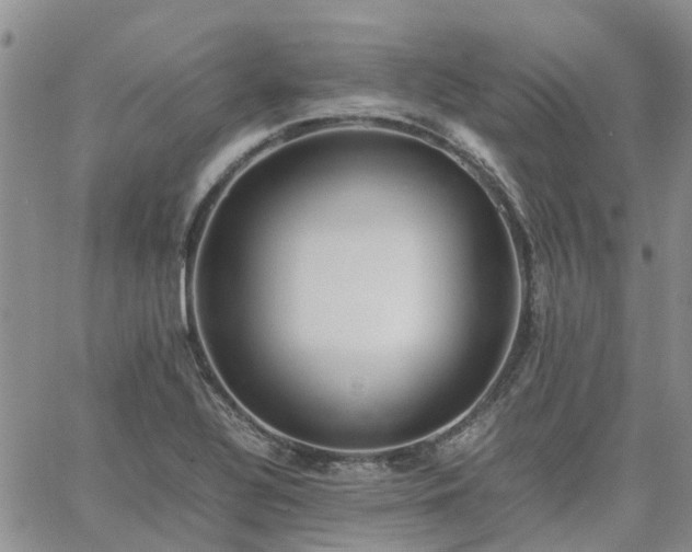 X0000064731320200602171632