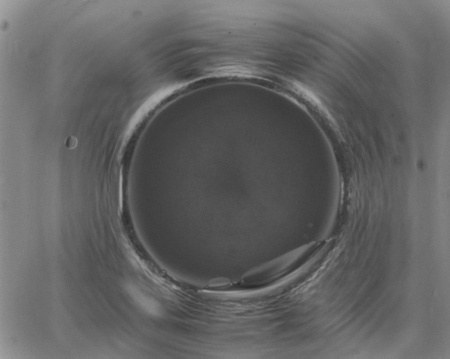 X0000064731323200602171632