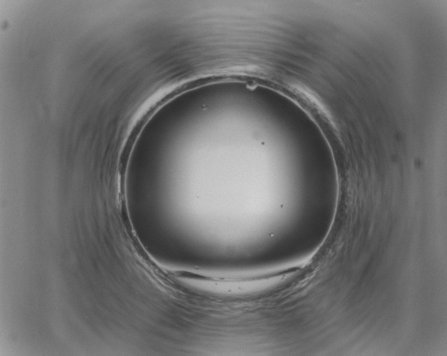 X0000064731324200602171632