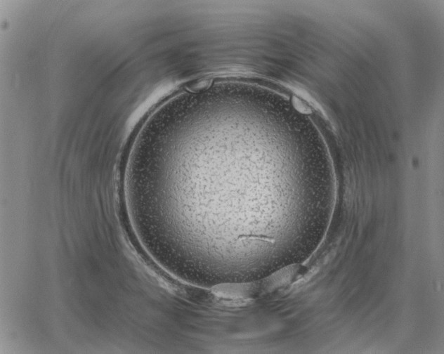 X0000064731325200602171632