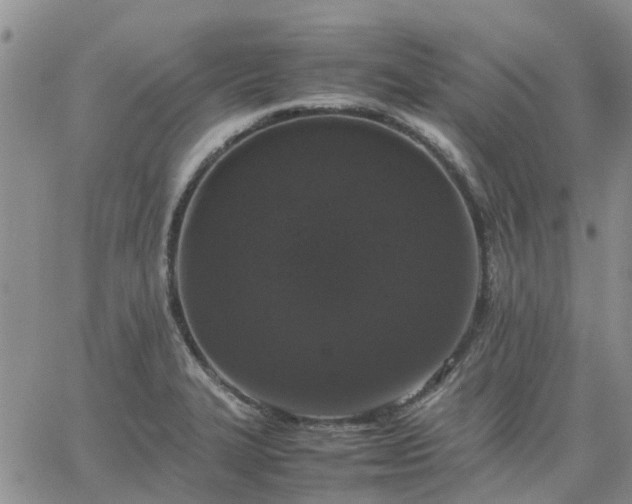 X0000064731327200602171632