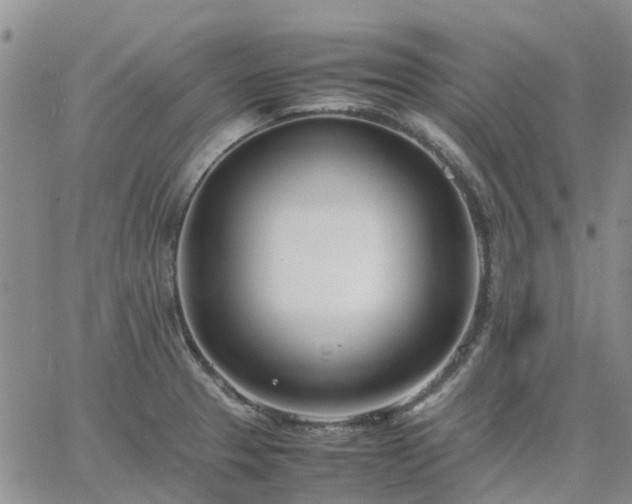 X0000064731329200602171632