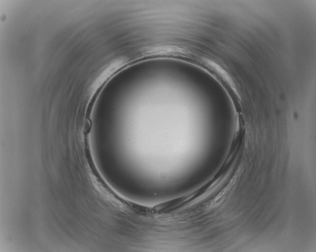 X0000064731330200602171632