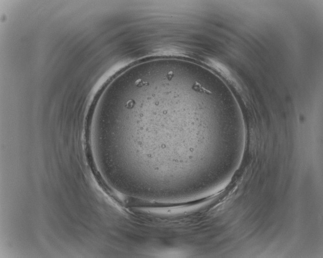 X0000064731331200602171632