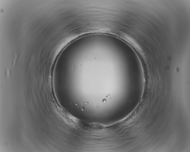 X0000064731332200602171632