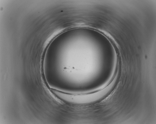 X0000064731333200602171632