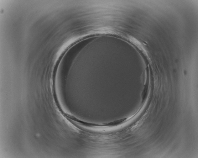 X0000064731334200602171632