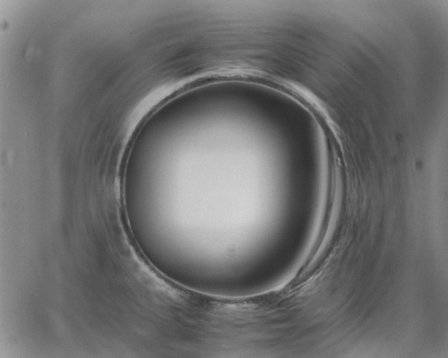 X0000064731335200602171632