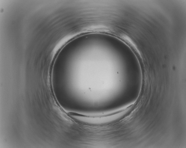 X0000064731336200602171632