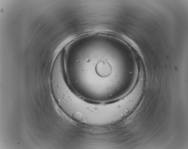 X0000064731338200602171632