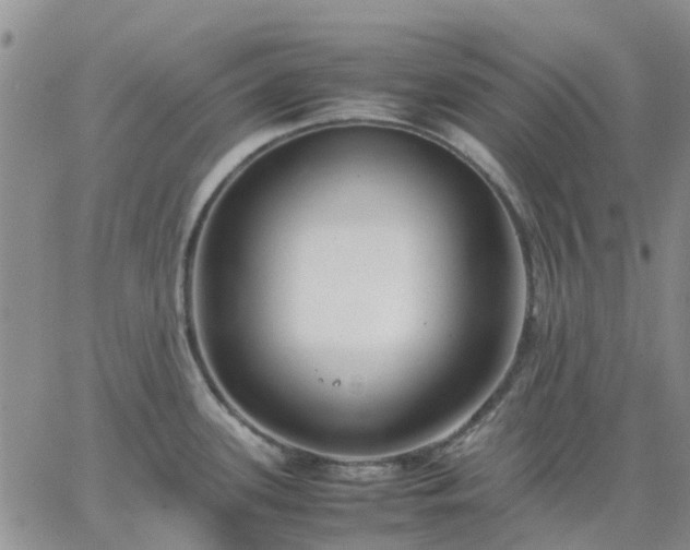 X0000064731339200602171632