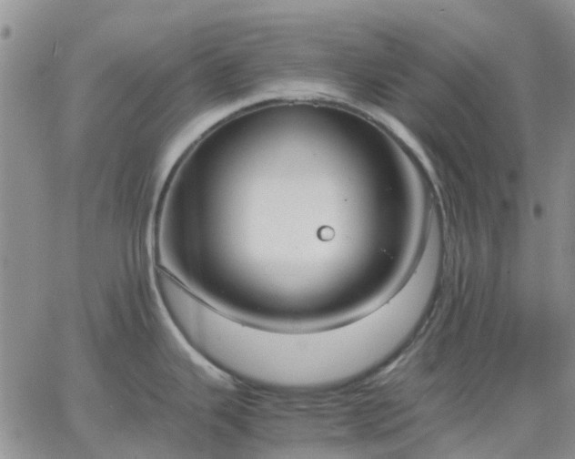 X0000064731343200602171632