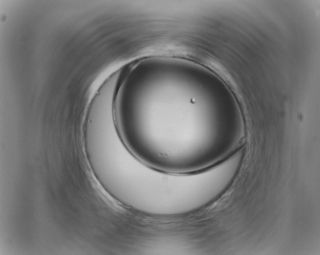 X0000064731344200602171632