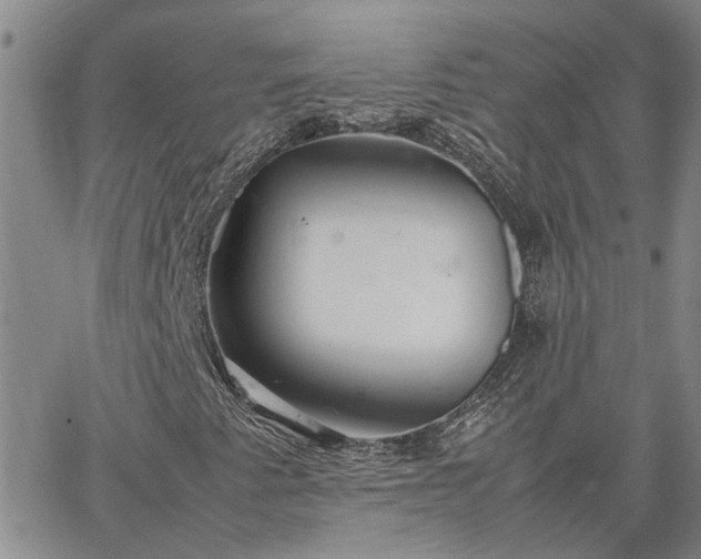 X0000064731345200602171631