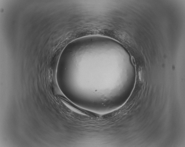 X0000064731347200602171631