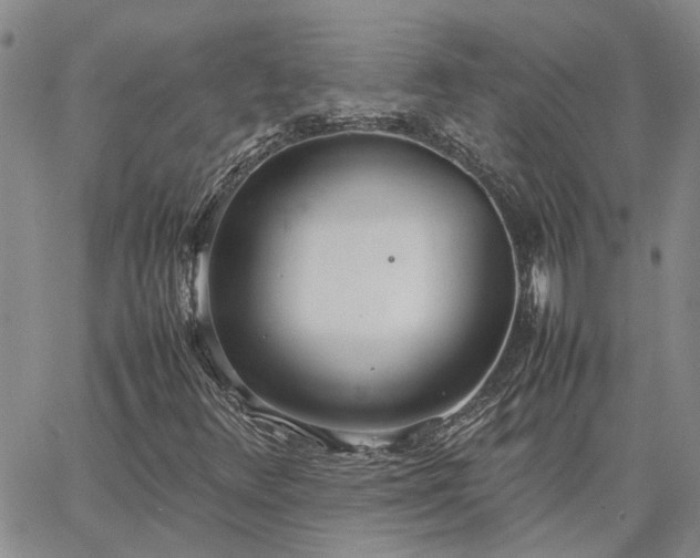 X0000064731348200602171631