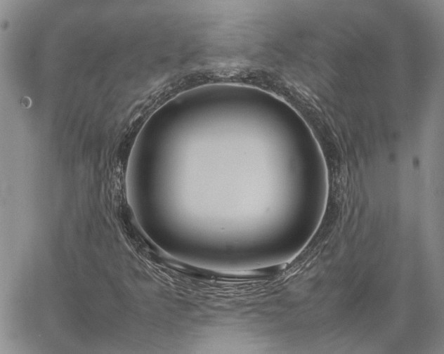 X0000064731349200602171631